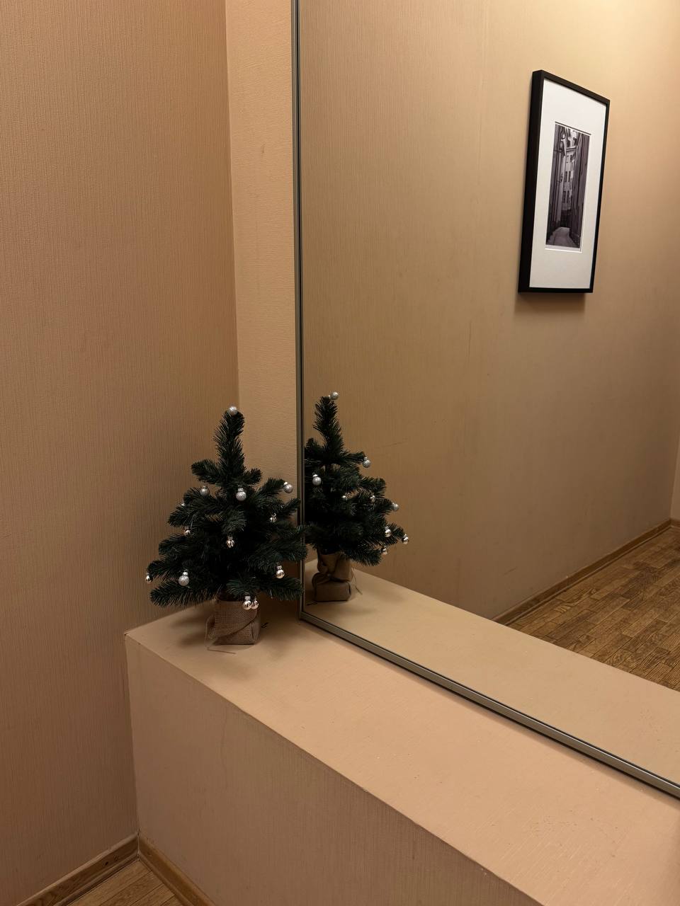 Фото Соло центр