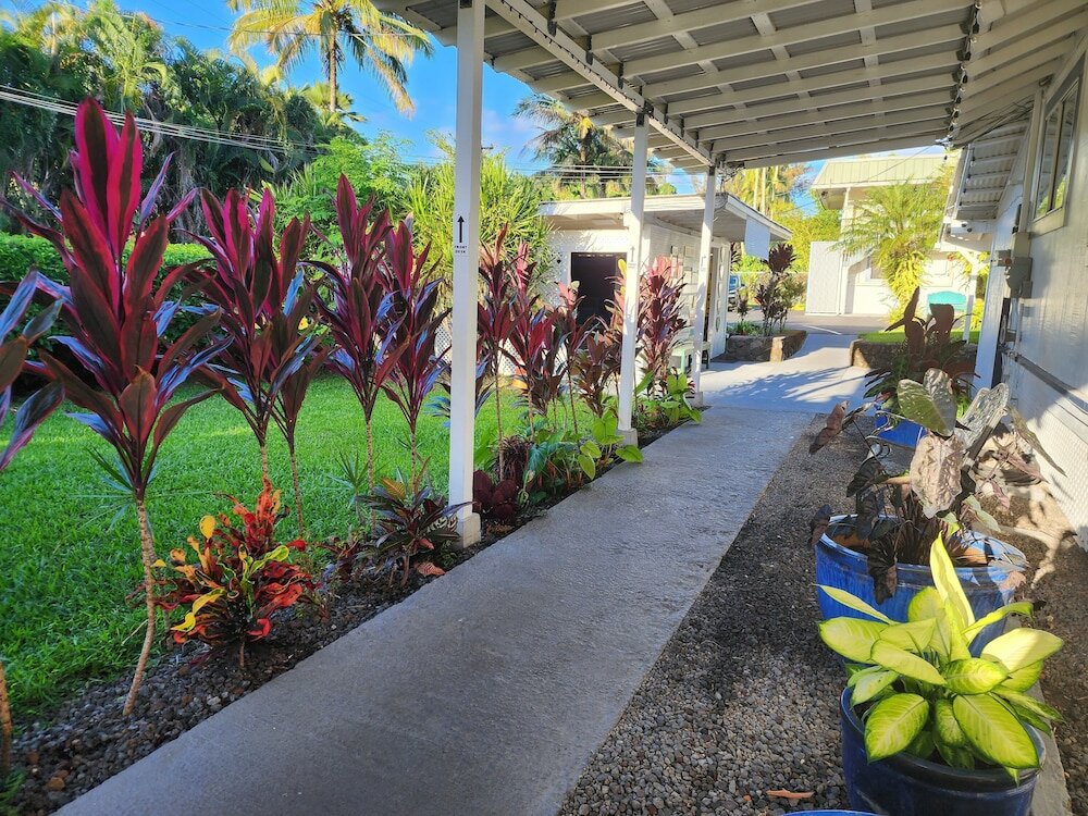 Фото Arnott's Lodge