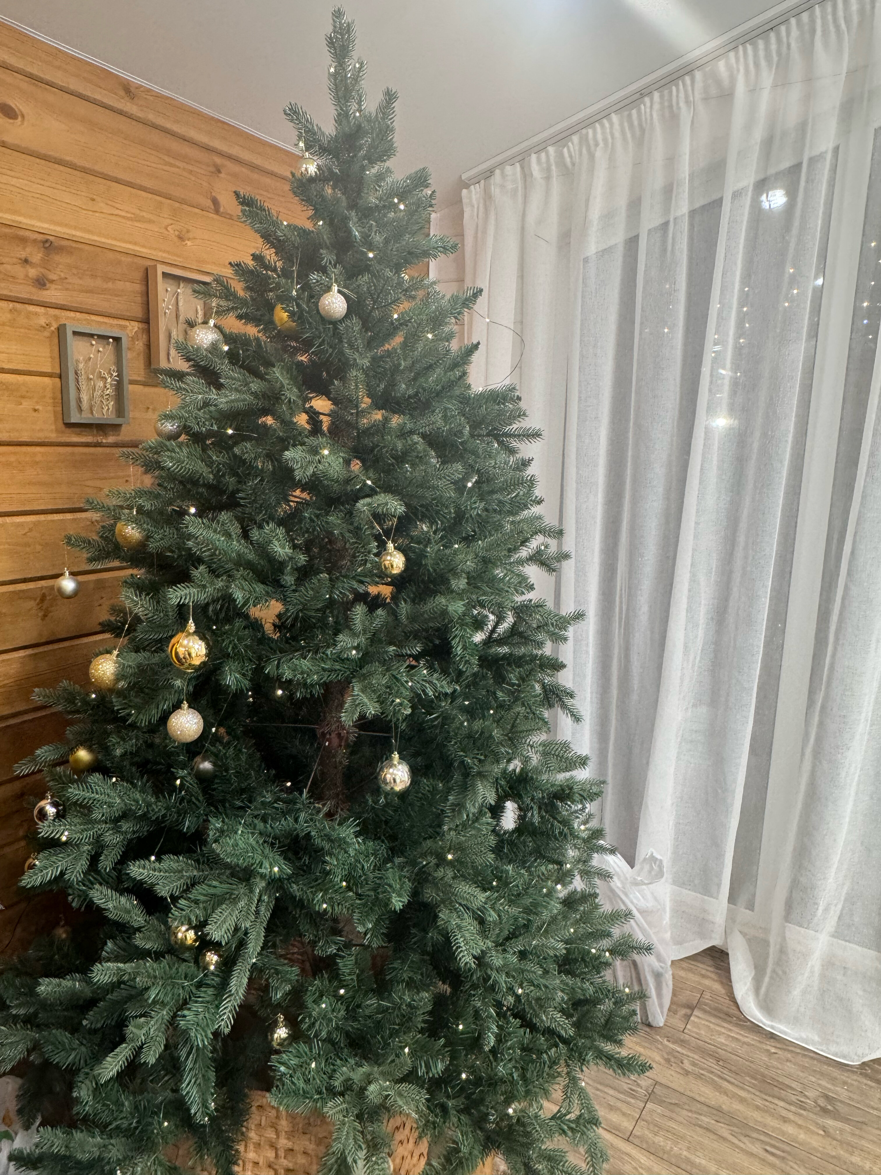 Фото Липовый цвет