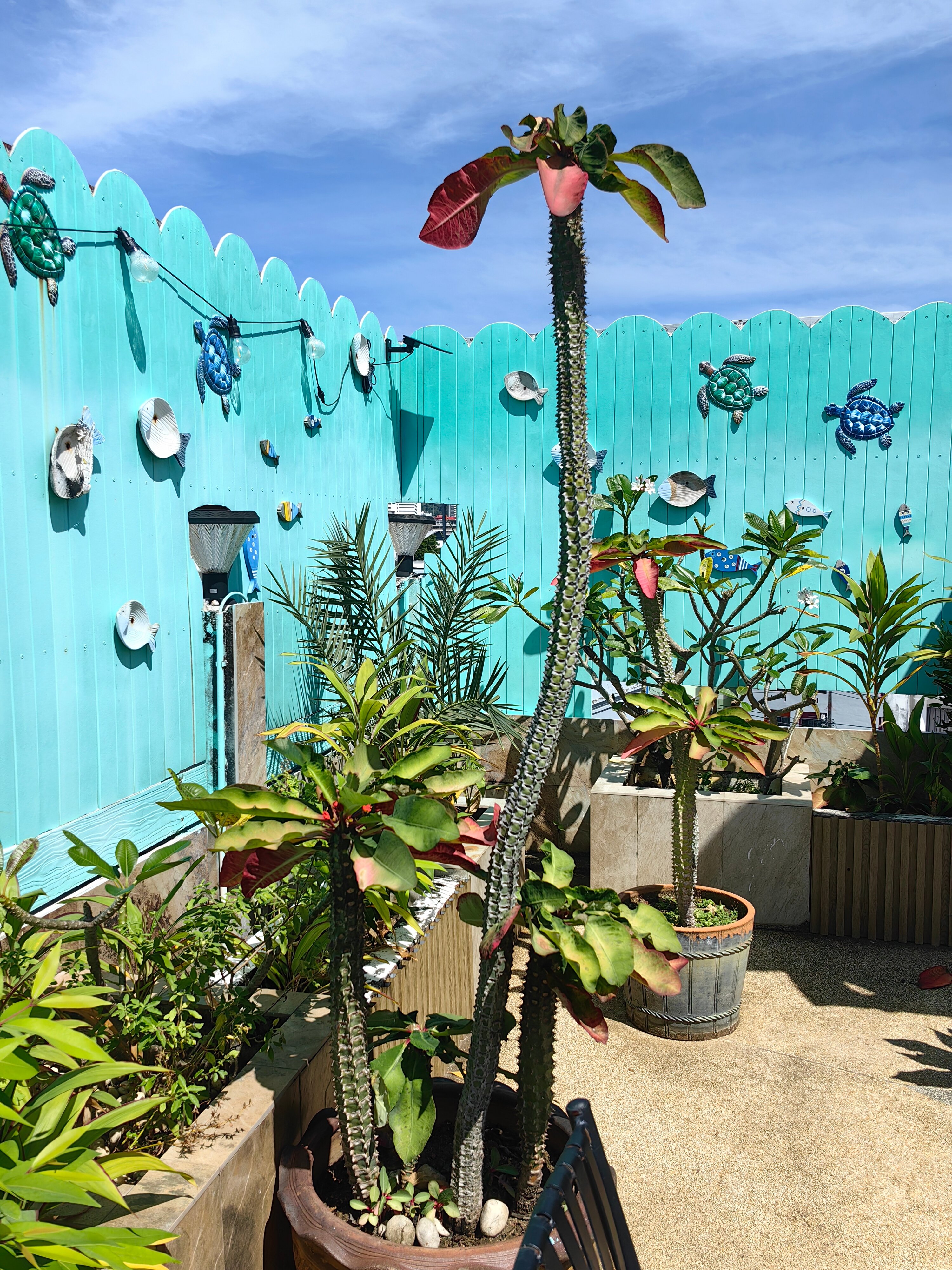 Фото Sun Shine Patong