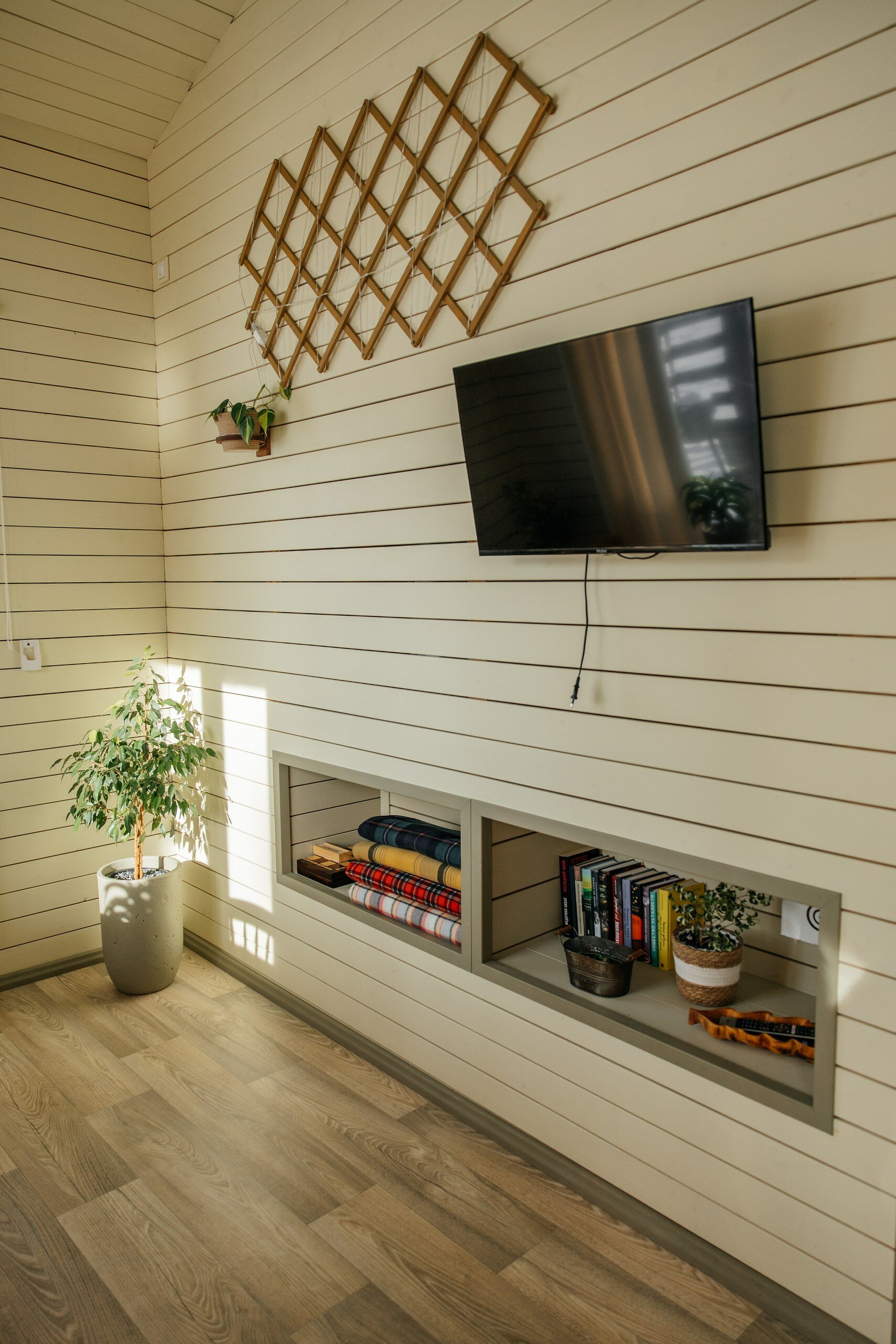 Фото Аврора