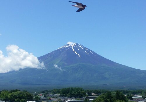 Внешний вид отеля Lakeland Hotel Mizunosato в Фудзикавагутико, фото 5