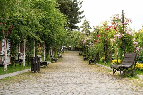 Гостиница Çam Thermal Resort SPA Hotel в Гереде