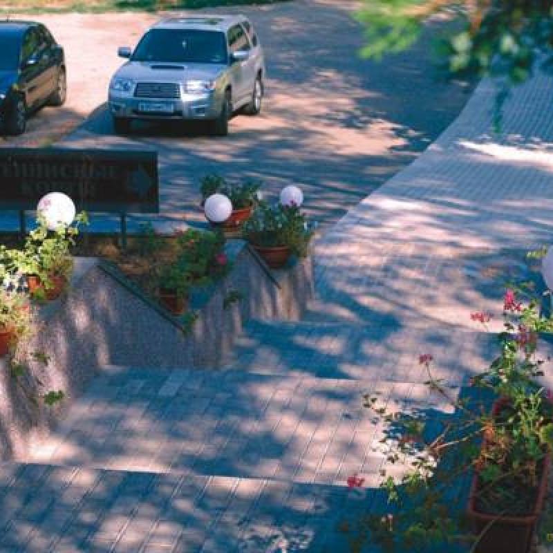 Фото Берёзка