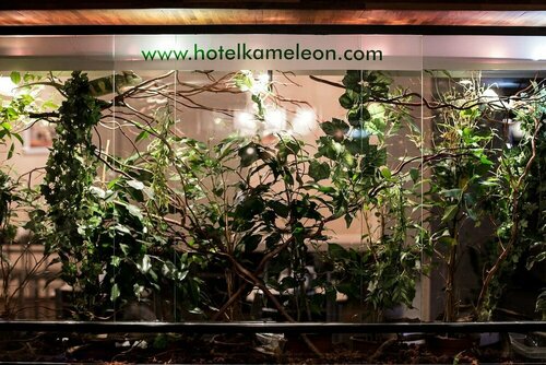 Гостиница Hotel & Spa Kameleon в Рыбнике