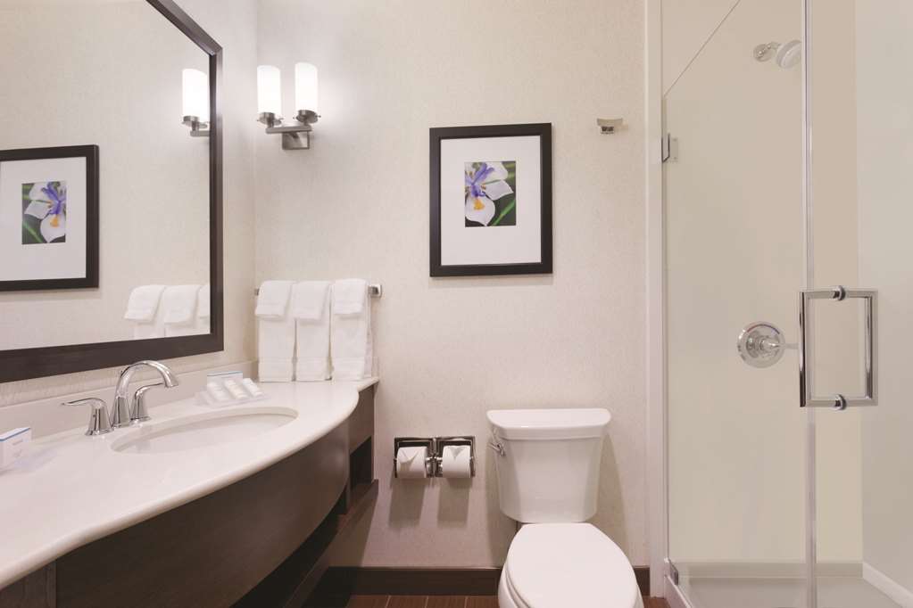 Фото Hilton Garden Inn Rochester Downtown