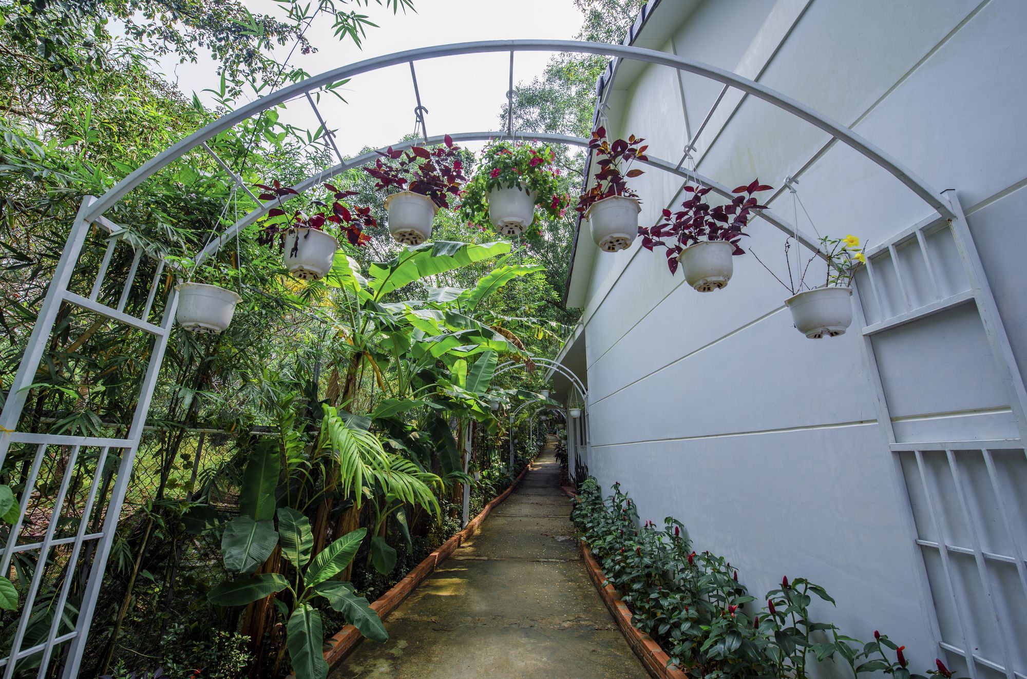 Фото Hanh Ngoc Bungalow