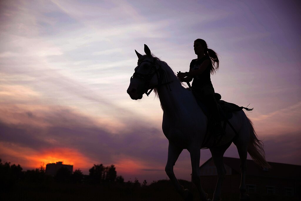 ركوب الخيل Siberian Cossack Center for Equestrian Art Ataman ، أومسك، صورة