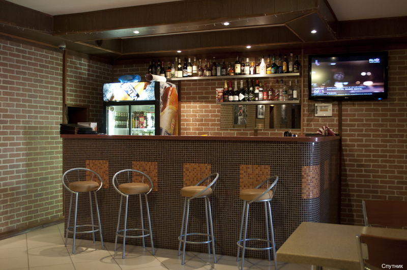 Фото Спутник