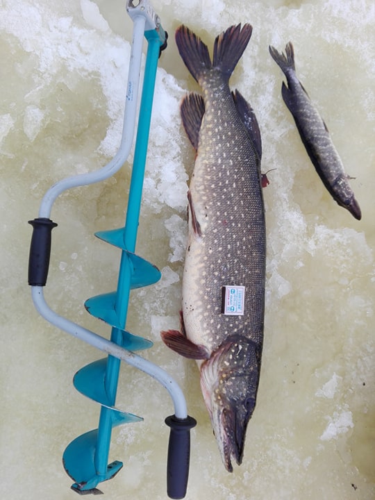 Фото Пристань рыбака