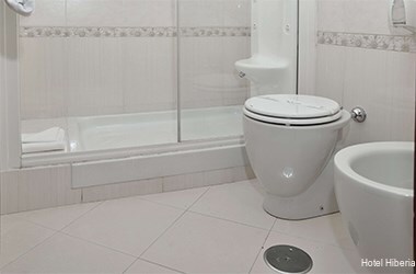 Фото Hotel Hiberia