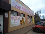 Новосел (ulitsa Kominterna, 80), tienda de artículos para el hogar y productos químicos domésticos