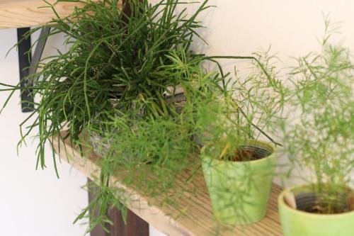 Фото Guest House E-Nine