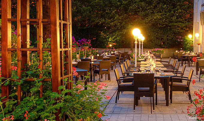 Фото Hotel BlueBay Banús