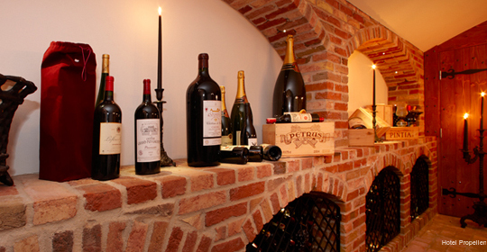 Фото Hotel Propellen