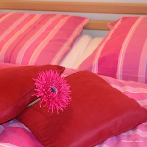 Фото The niu Sparrow