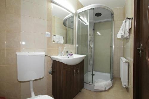 Гостиница Pensiunea Muresul в Муреше