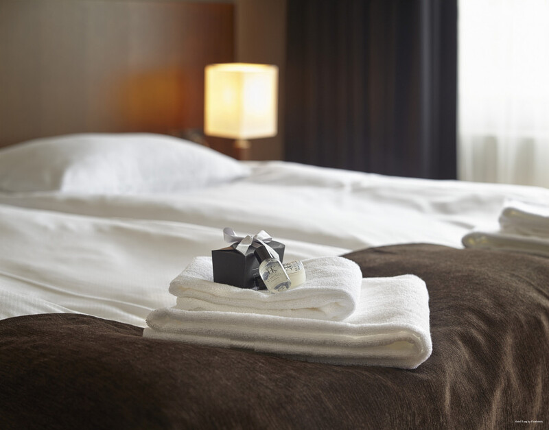 Фото Отель Борг