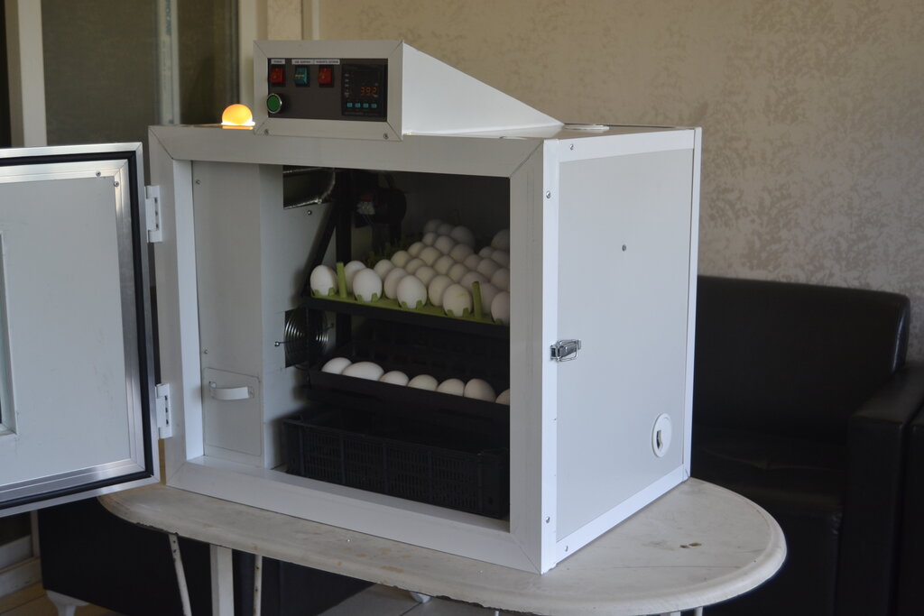 Machine building Ask Incubation Machines, Antalya, photo