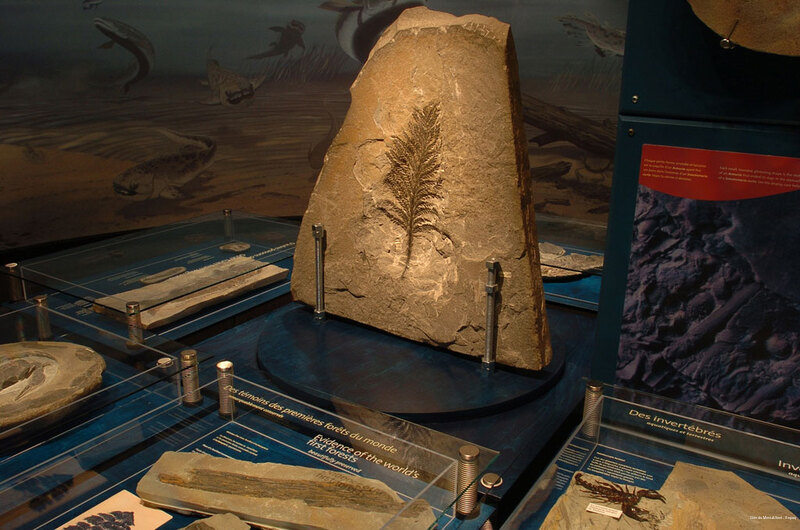 Фото Gite Du Mont Albert