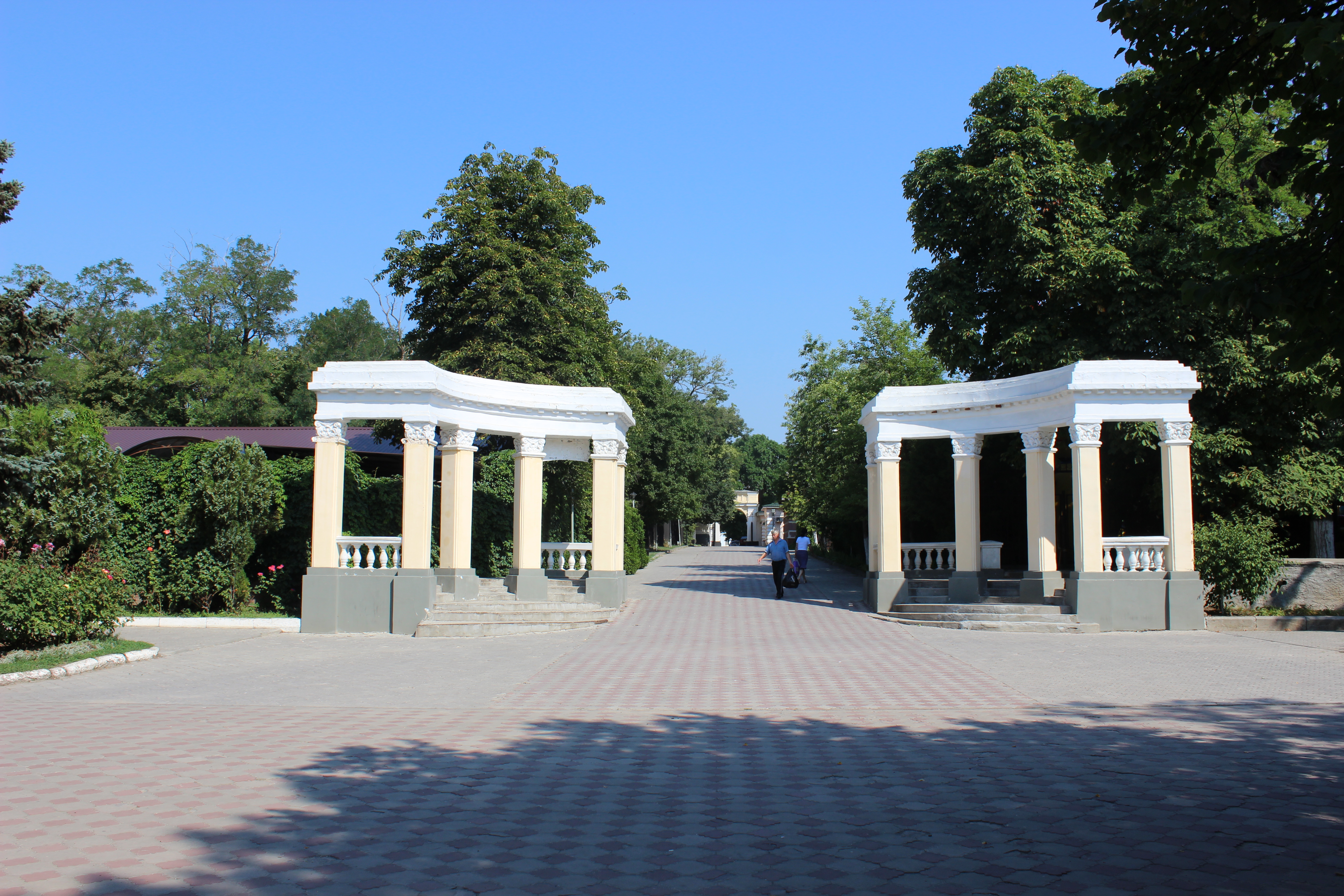 Кискадағы ұзын қалың әтеш