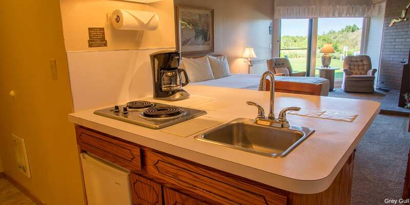 Фото The Grey Gull