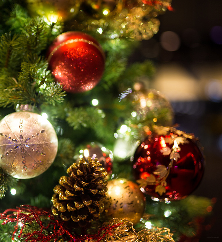 Фото Yellowstone Valley Lodge, Ascend Hotel Collection