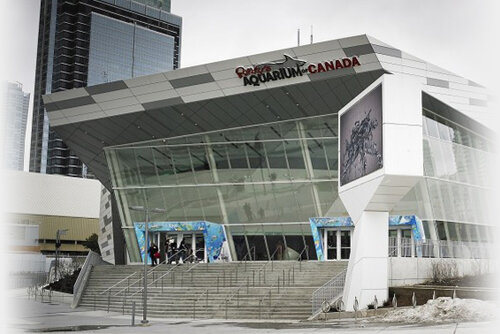 Внешний вид отеля One King West в Торонто, фото 5