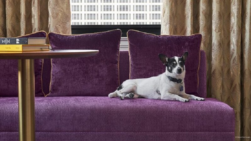 Фото 21c Museum Hotel Lexington