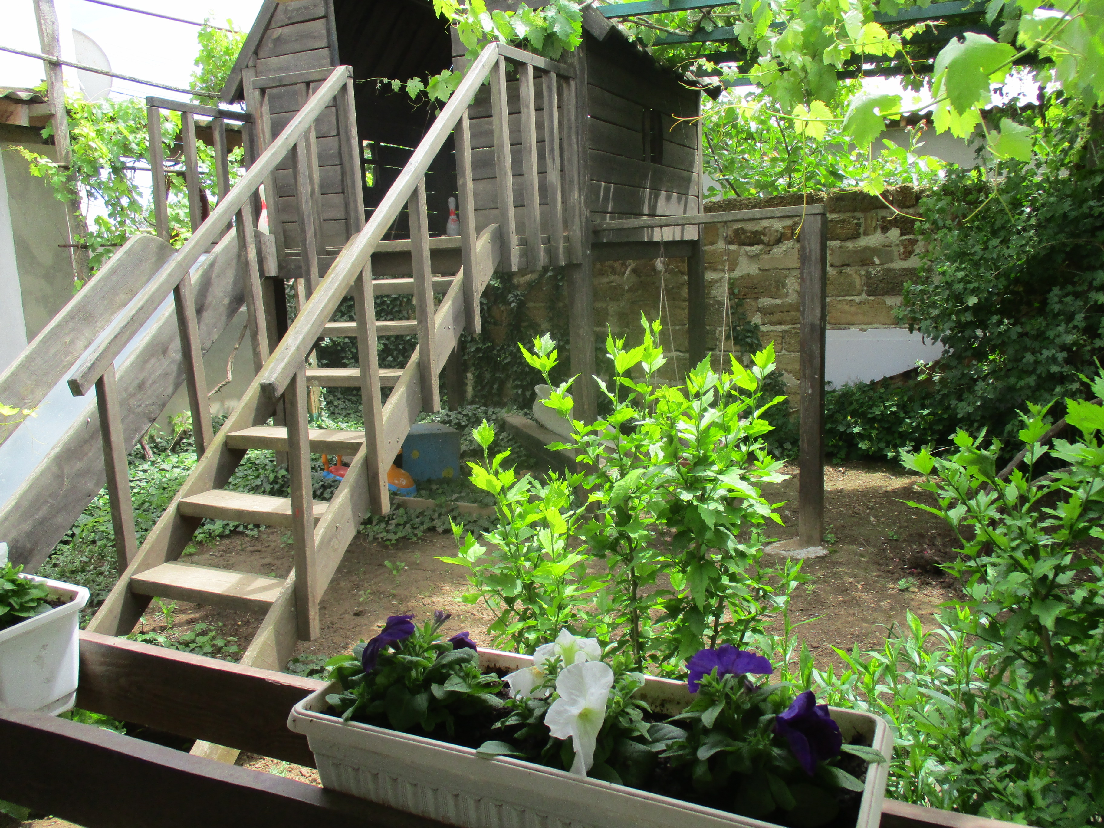 Фото СимСим