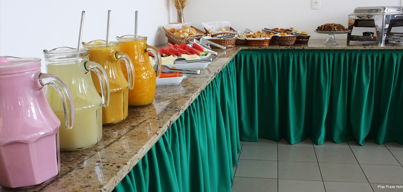 Фото Pisa Plaza Hotel