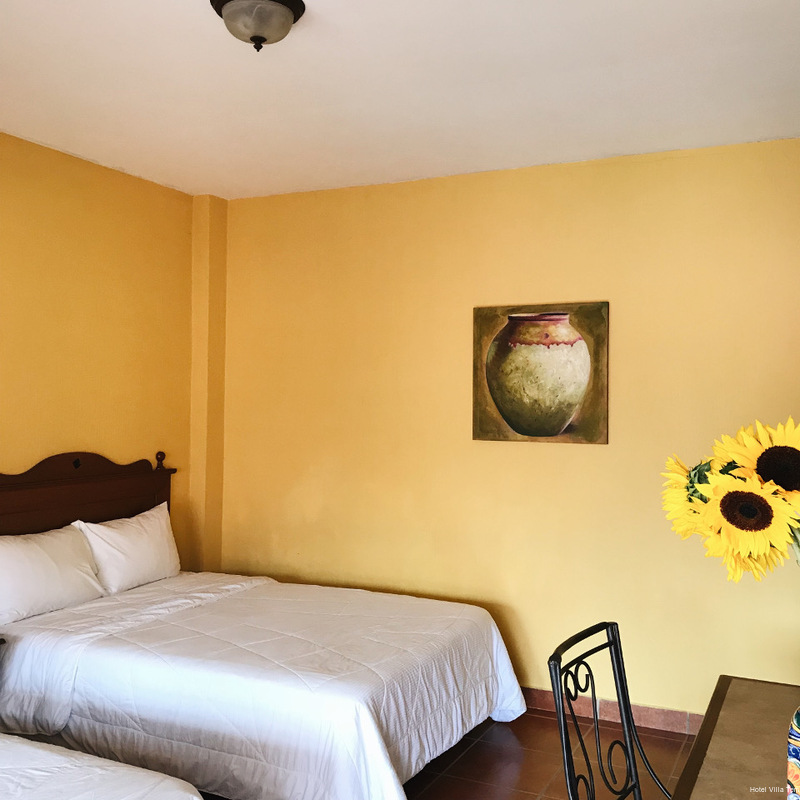 Фото Hotel Villa Terra