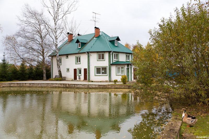 Фото Алирико