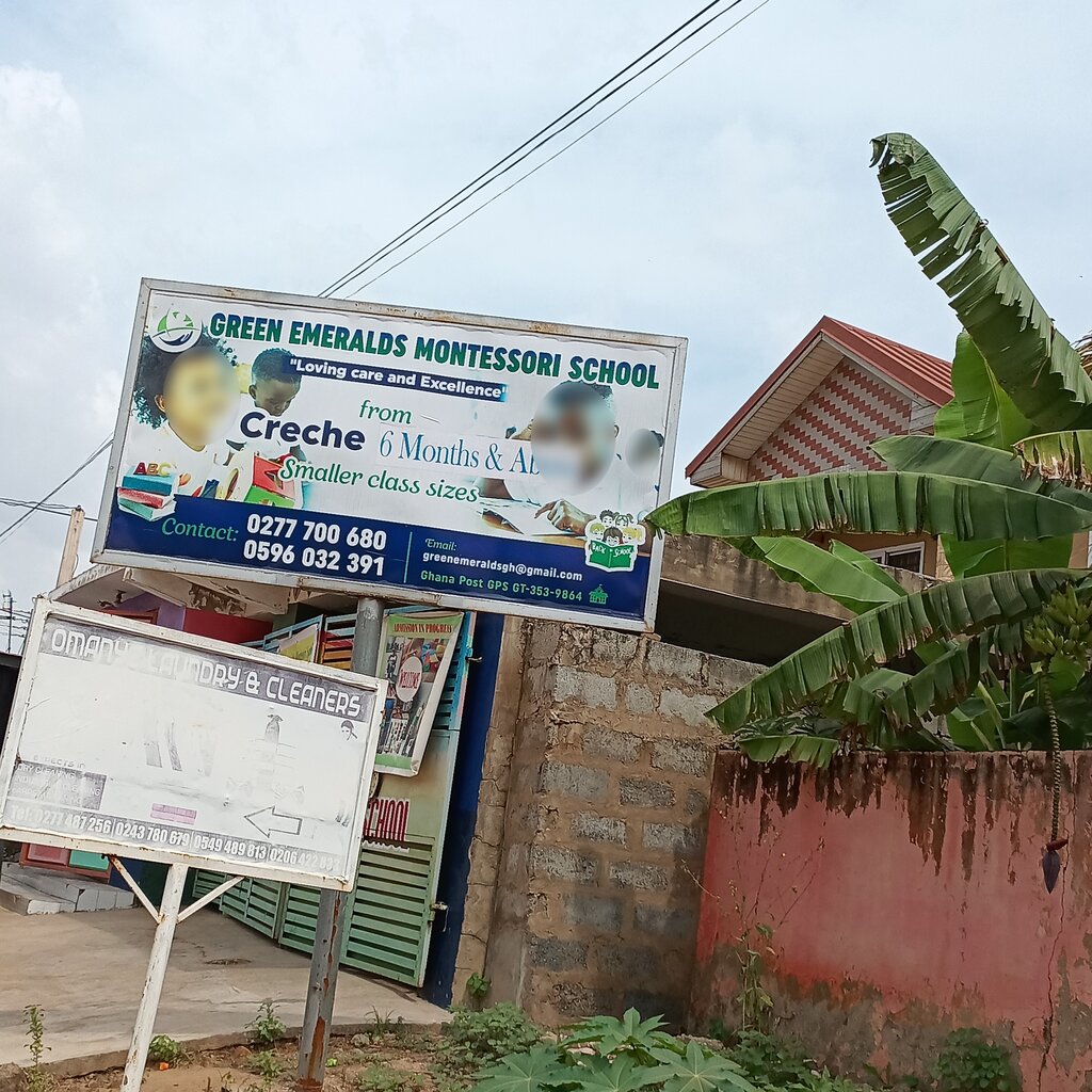 School Green Emerald Montessori School, Earth, photo