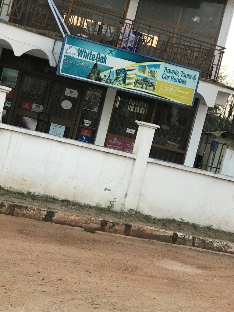 Travel agency White oak, Earth, photo