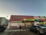 Domino (Penza, Austrina Street, 152Б), centro comercial