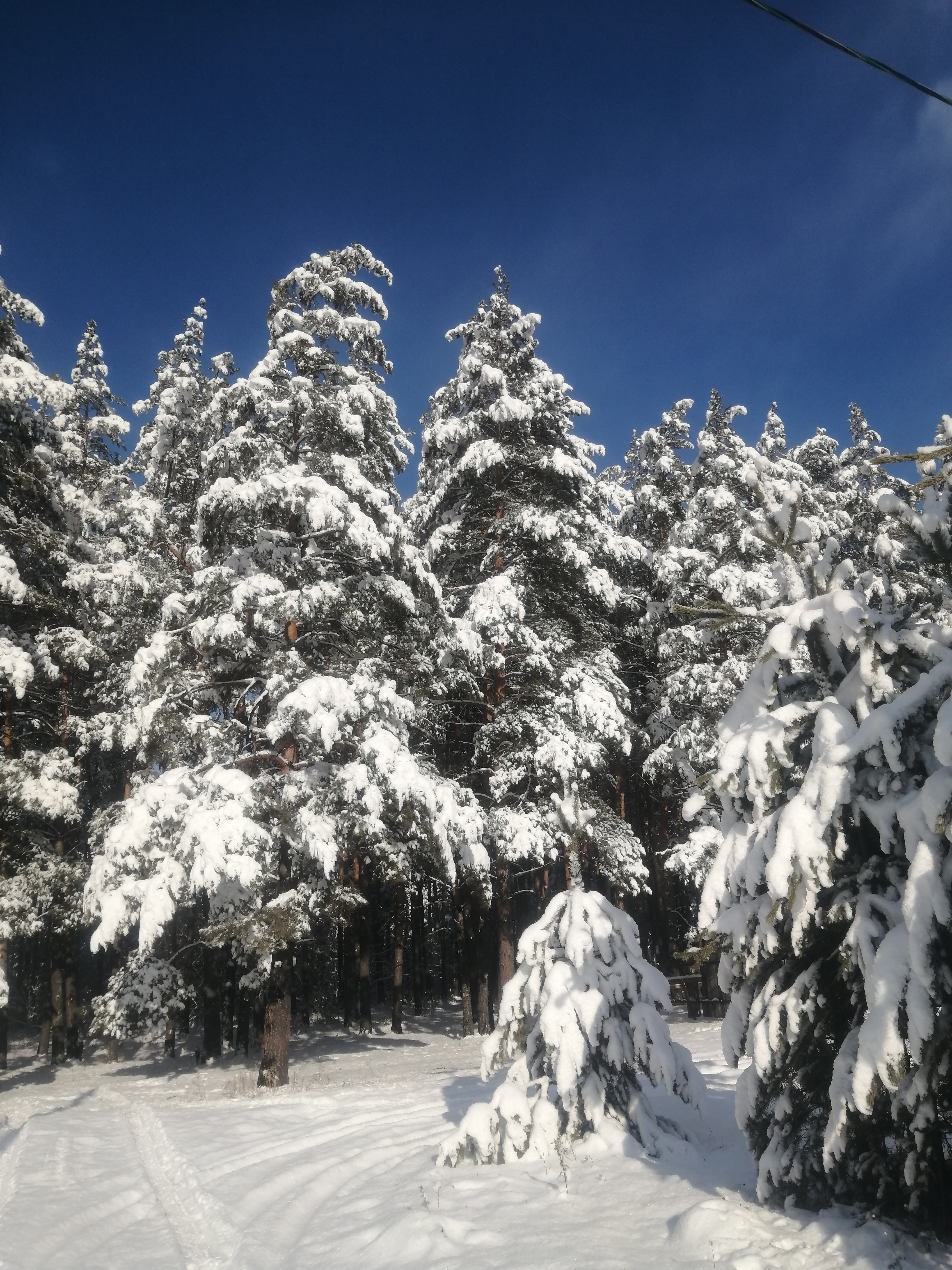 Фото Усадьба Чикмаревых