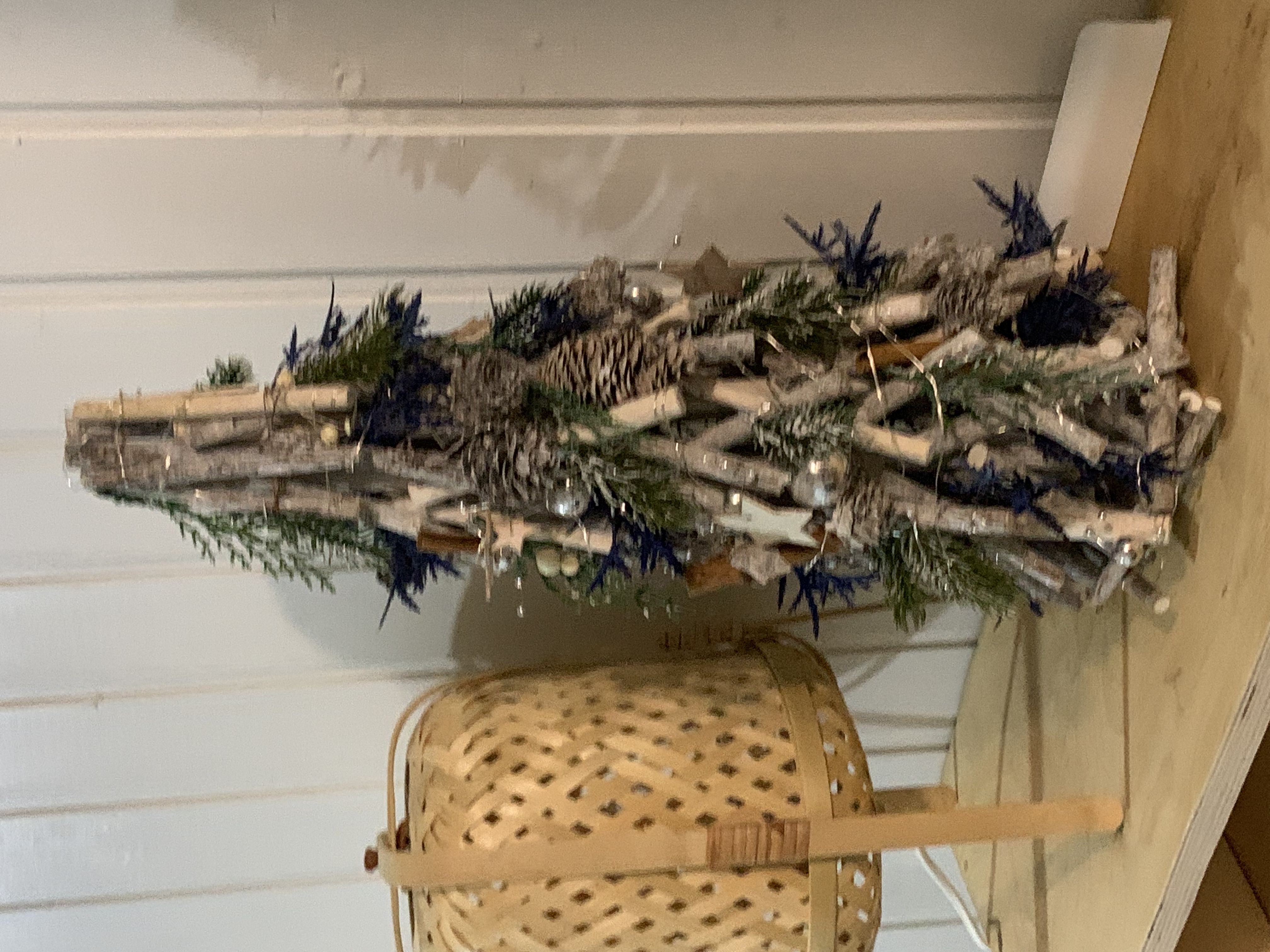 Фото TinyDacha можжевельник