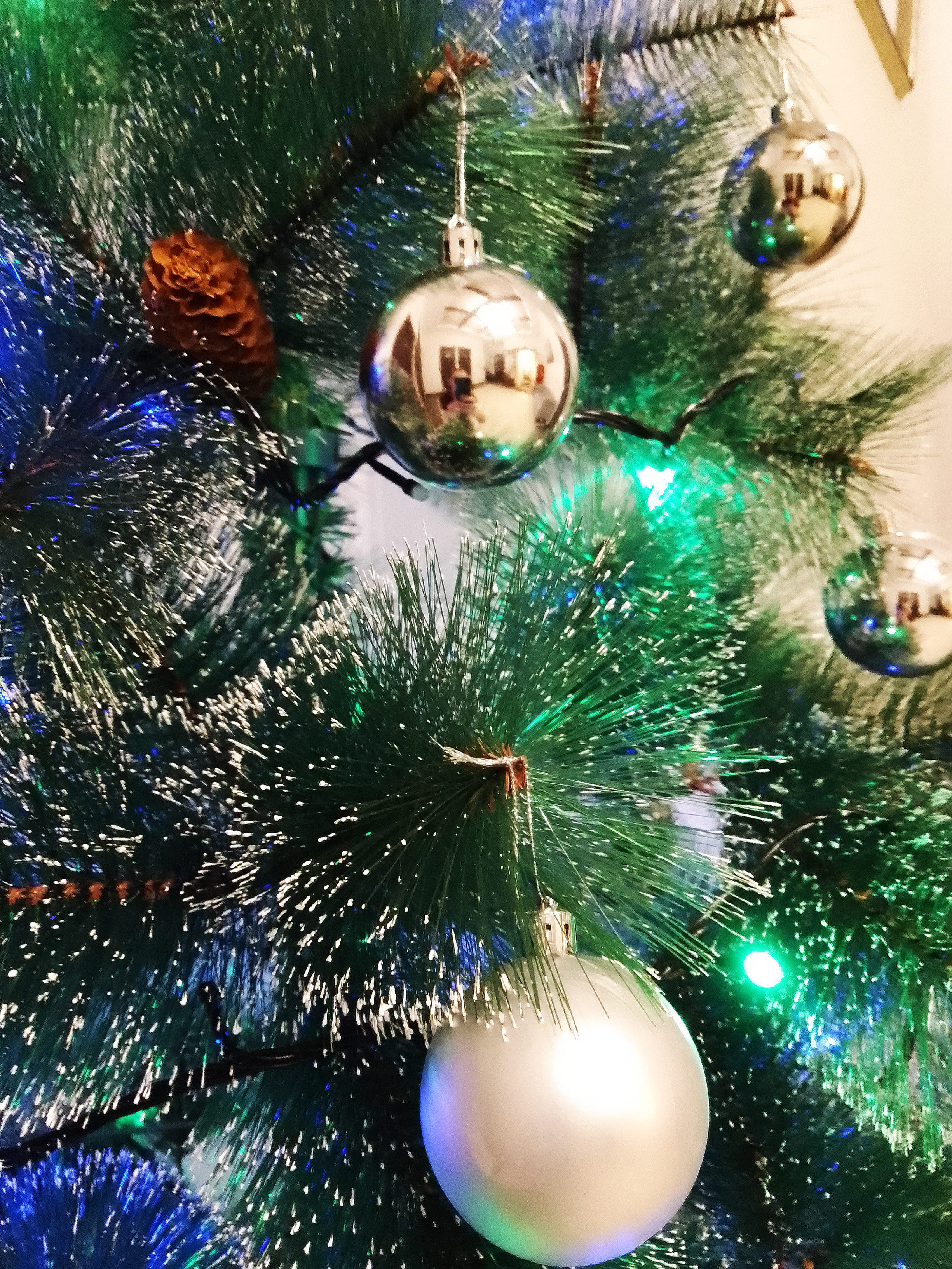 Фото Танский