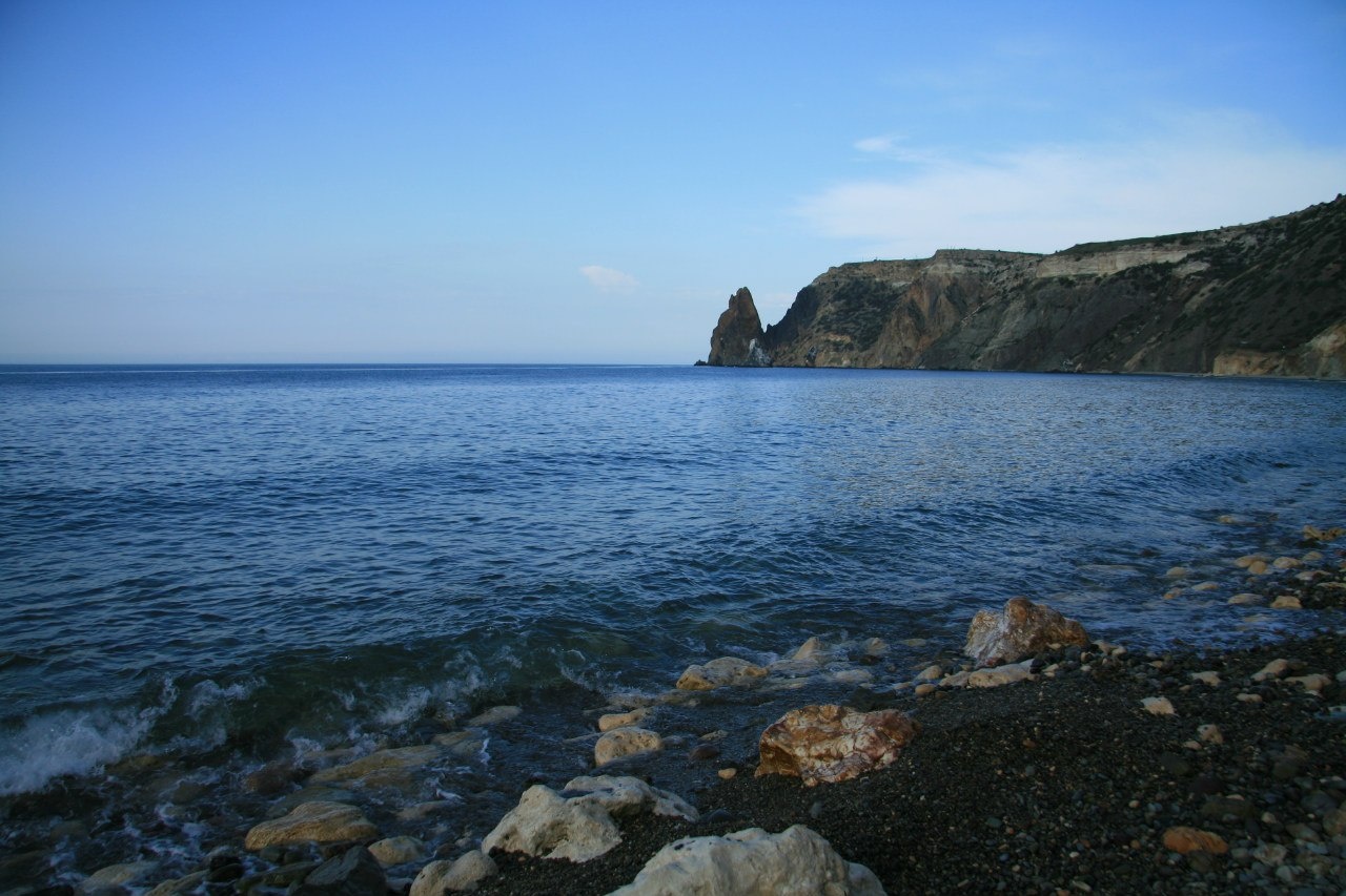 Фото Афалина