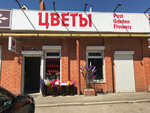 Цветы и подарки (mikrorayon Tabachnaya Fabrika, Akademika Pustovojta Street, 19), flower shop