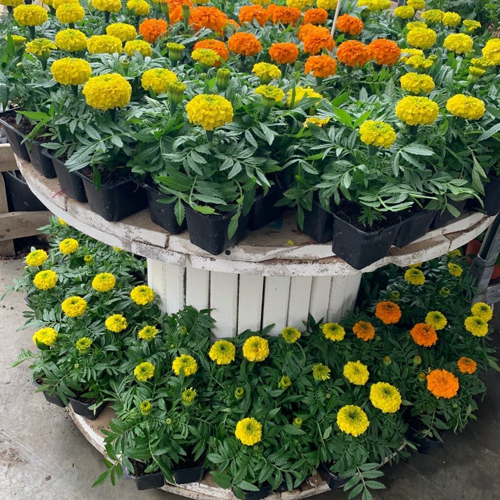 Магазин Лето На Дзержинского Краснодар Телефон