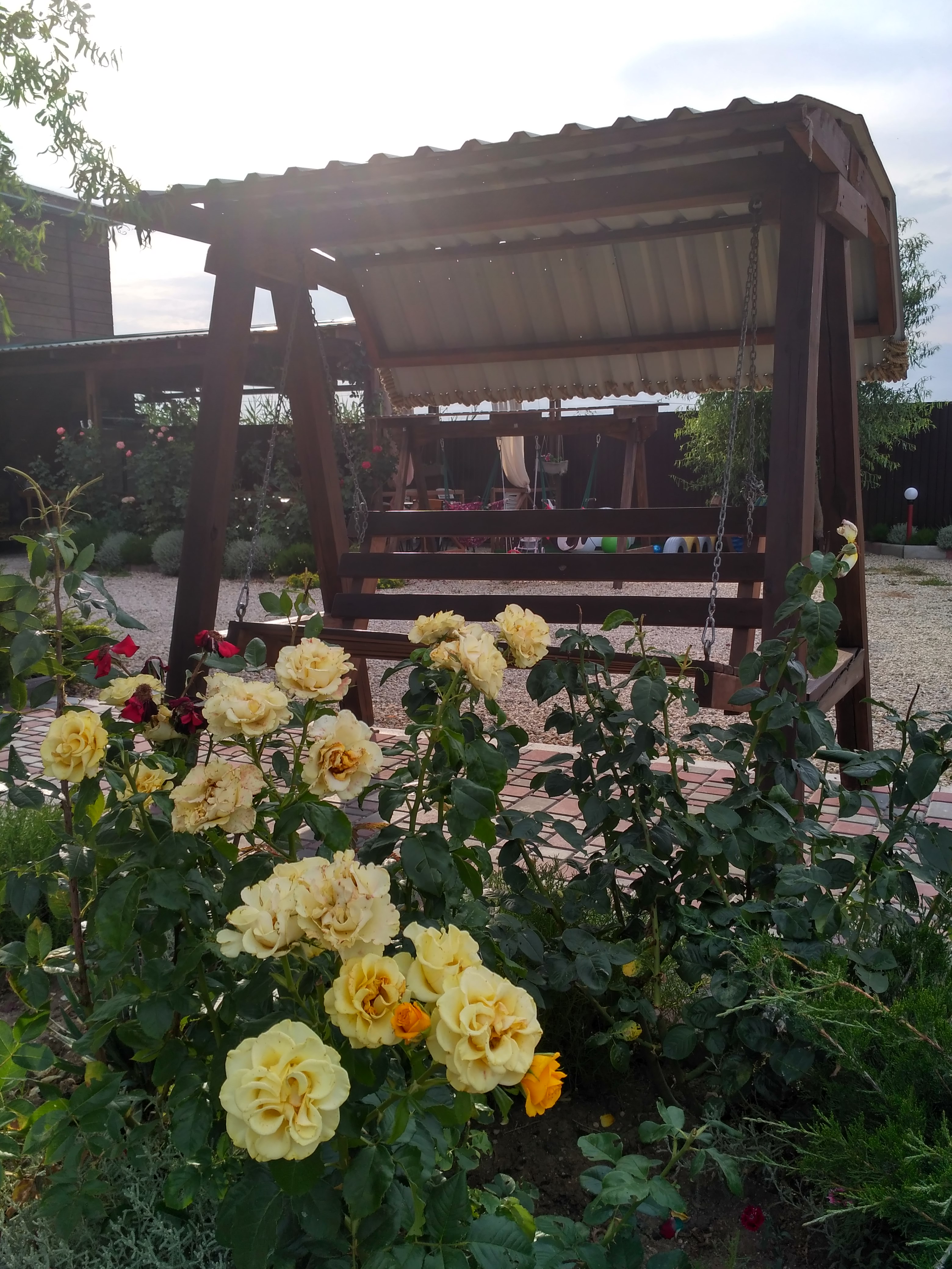 Фото Хороший гость