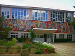 Дом культуры (посёлок городского типа Куйбышево, улица Ленина, 9), house of culture
