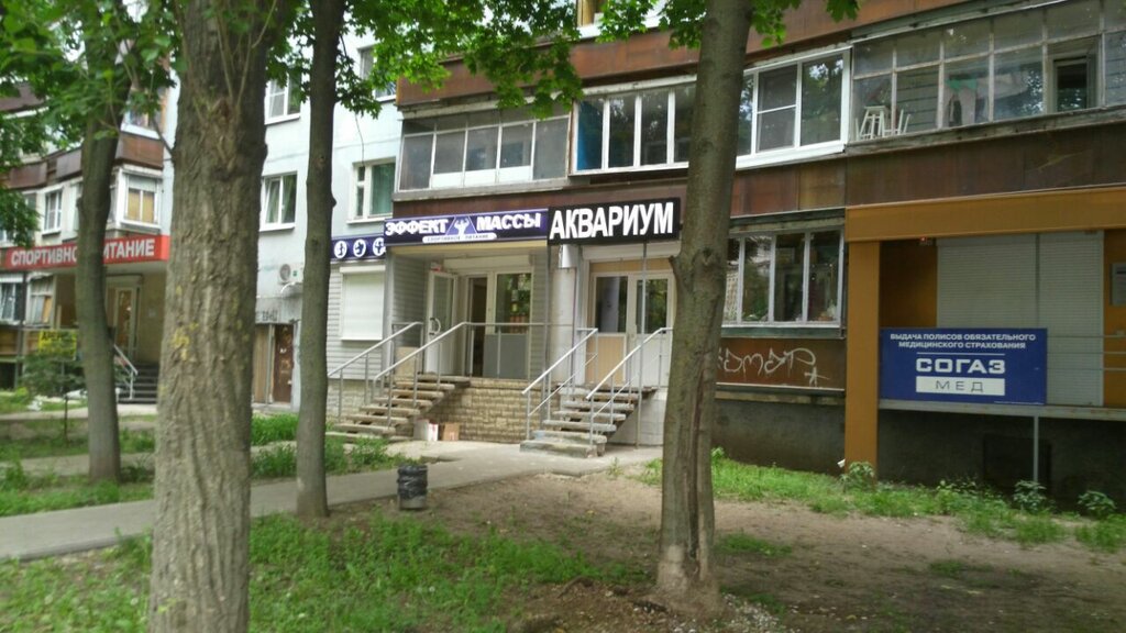 Аквариумный Магазин Воронеж