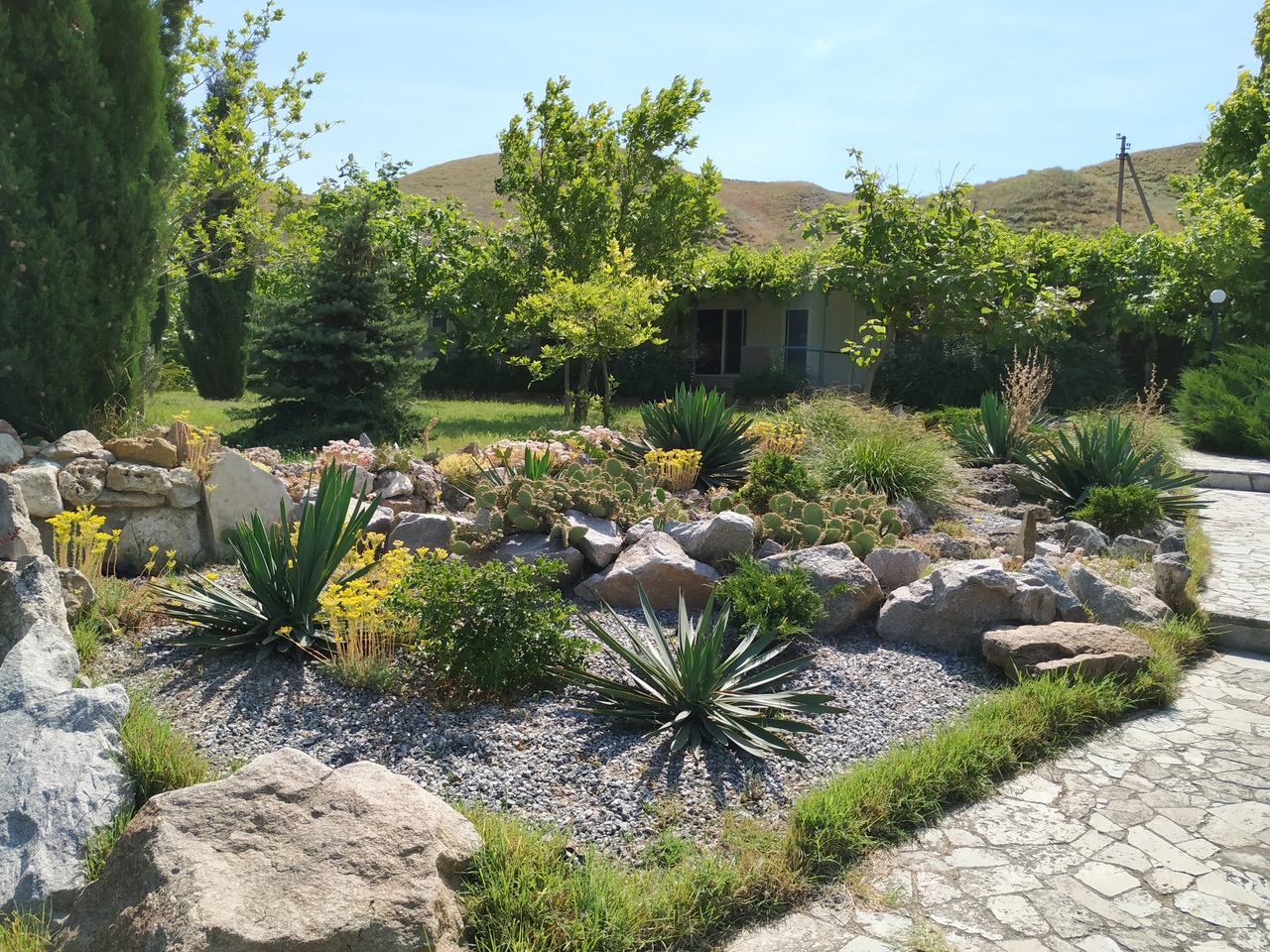 Фото Жемчужина