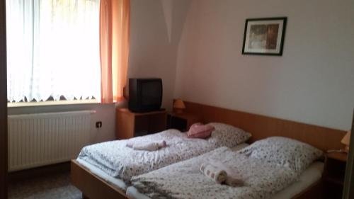 Фото Hotel und Restaurant die Burg