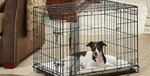 Kletki-spb (Khimicheskiy Lane, 1/9), pet shop