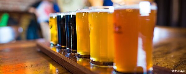 Фото Aloft Celaya