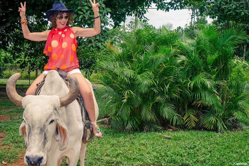 Фото Hotel Kawama